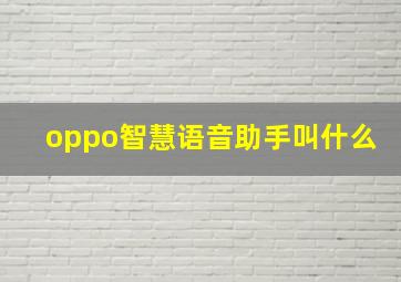 oppo智慧语音助手叫什么