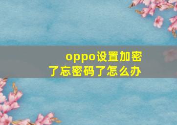 oppo设置加密了忘密码了怎么办