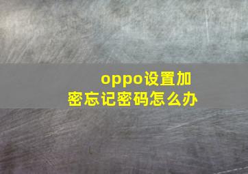 oppo设置加密忘记密码怎么办