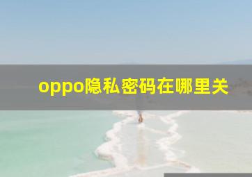 oppo隐私密码在哪里关