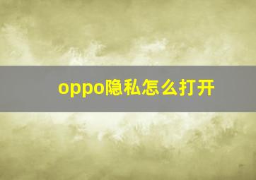 oppo隐私怎么打开