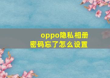 oppo隐私相册密码忘了怎么设置