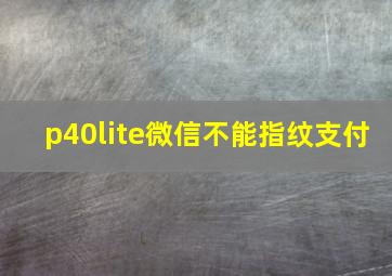 p40lite微信不能指纹支付