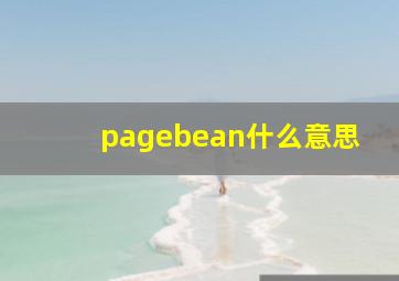 pagebean什么意思