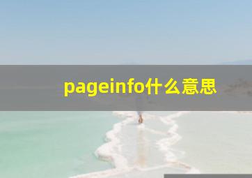 pageinfo什么意思