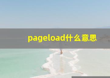 pageload什么意思