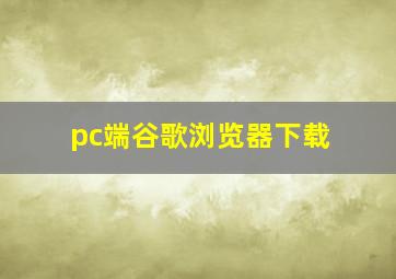 pc端谷歌浏览器下载