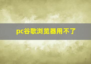 pc谷歌浏览器用不了