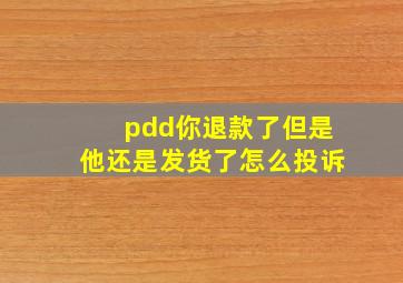 pdd你退款了但是他还是发货了怎么投诉