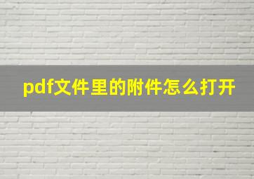 pdf文件里的附件怎么打开