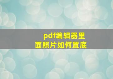 pdf编辑器里面照片如何置底