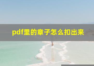 pdf里的章子怎么扣出来