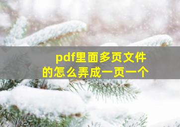 pdf里面多页文件的怎么弄成一页一个