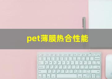 pet薄膜热合性能