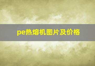 pe热熔机图片及价格