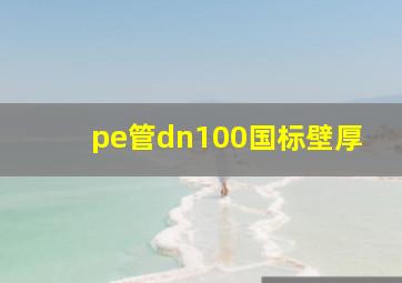 pe管dn100国标壁厚