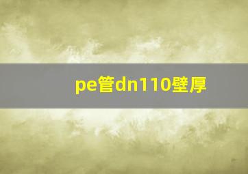 pe管dn110壁厚