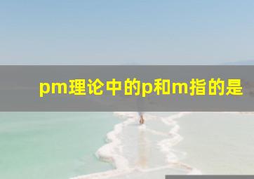 pm理论中的p和m指的是