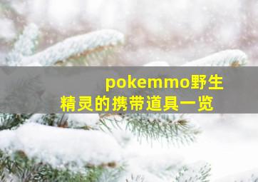 pokemmo野生精灵的携带道具一览