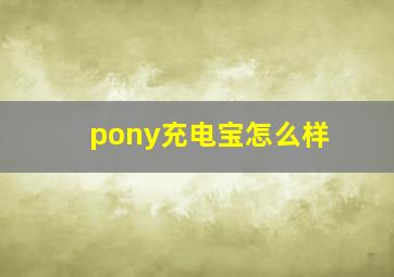 pony充电宝怎么样