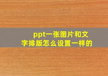 ppt一张图片和文字排版怎么设置一样的