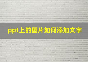 ppt上的图片如何添加文字