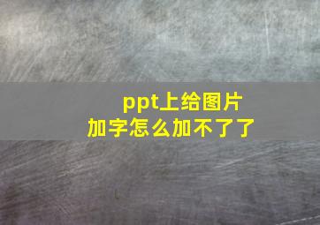 ppt上给图片加字怎么加不了了