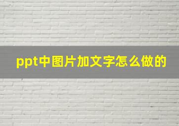 ppt中图片加文字怎么做的