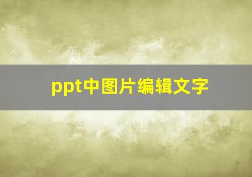 ppt中图片编辑文字