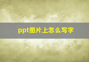 ppt图片上怎么写字