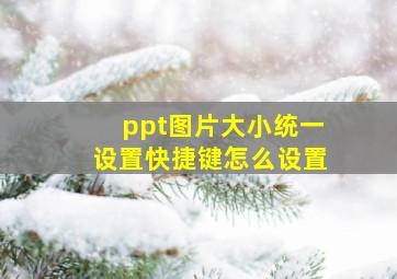 ppt图片大小统一设置快捷键怎么设置