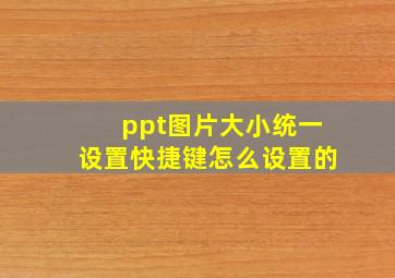 ppt图片大小统一设置快捷键怎么设置的