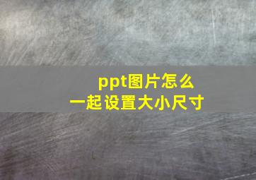 ppt图片怎么一起设置大小尺寸