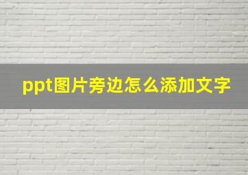 ppt图片旁边怎么添加文字