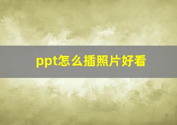 ppt怎么插照片好看