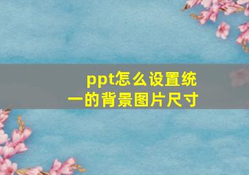 ppt怎么设置统一的背景图片尺寸