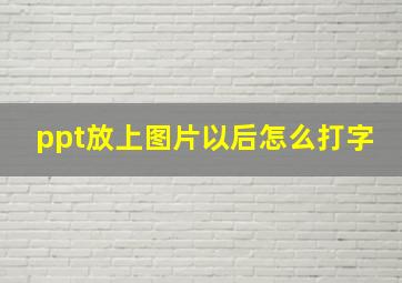 ppt放上图片以后怎么打字