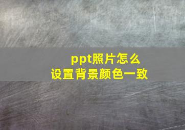 ppt照片怎么设置背景颜色一致