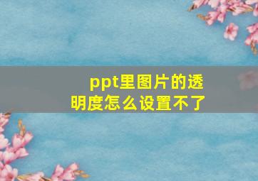 ppt里图片的透明度怎么设置不了