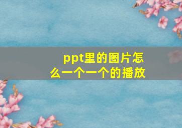 ppt里的图片怎么一个一个的播放