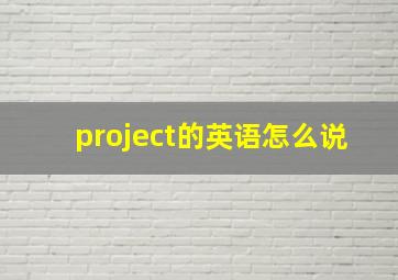 project的英语怎么说