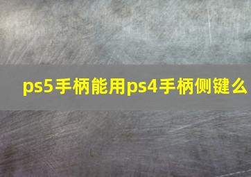 ps5手柄能用ps4手柄侧键么