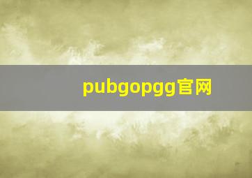 pubgopgg官网