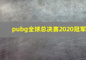 pubg全球总决赛2020冠军