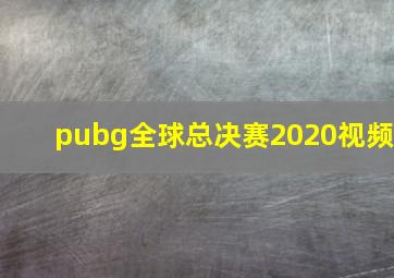 pubg全球总决赛2020视频