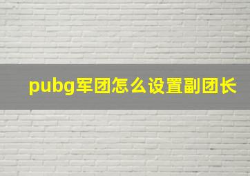 pubg军团怎么设置副团长