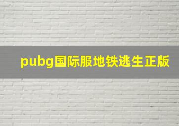 pubg国际服地铁逃生正版