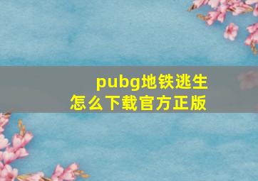 pubg地铁逃生怎么下载官方正版