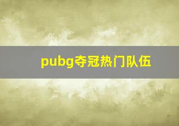 pubg夺冠热门队伍