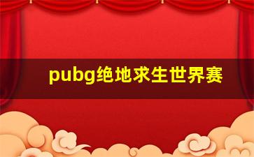 pubg绝地求生世界赛